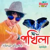 About Pokhila 2020 Song